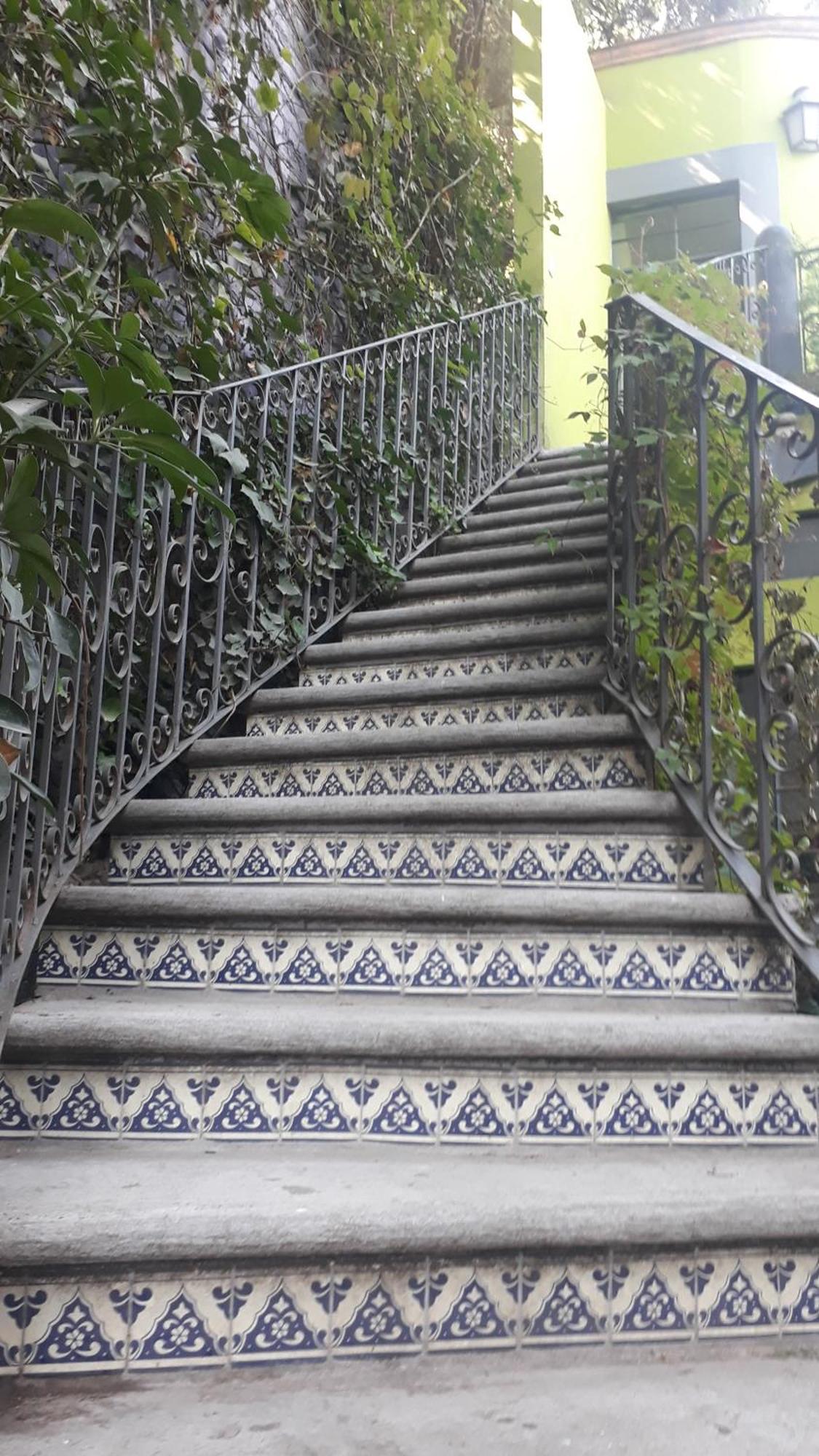 Casa Carly Otel San Miguel de Allende Dış mekan fotoğraf
